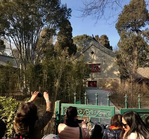 臨湖軒白皮松